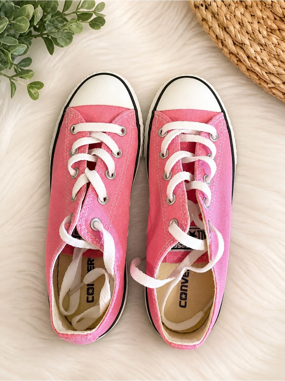Pink Converse Low Top Sneakers Youth Size 2 Canvas Classic Shoes New in the Box.